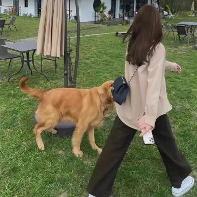 查理的生与死