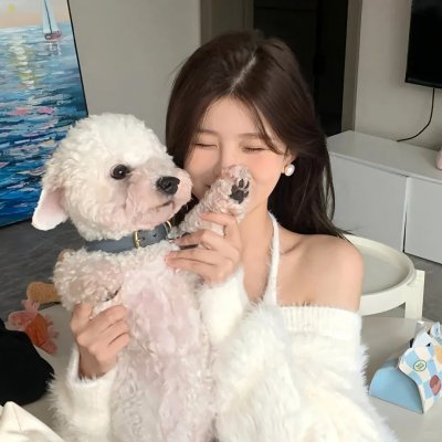 我的西游